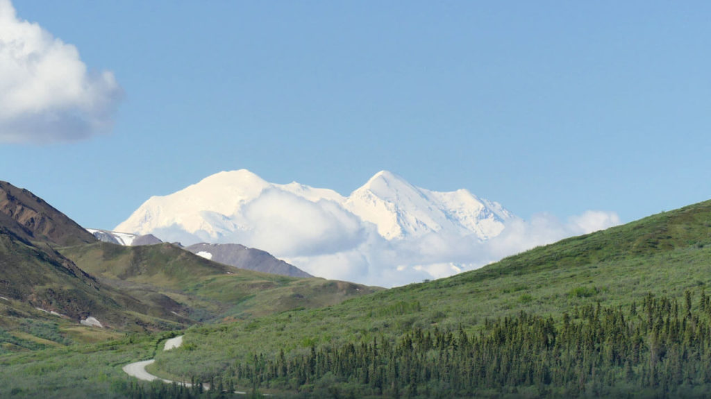 Best Way to See Denali National Park - Adventurous Retirement